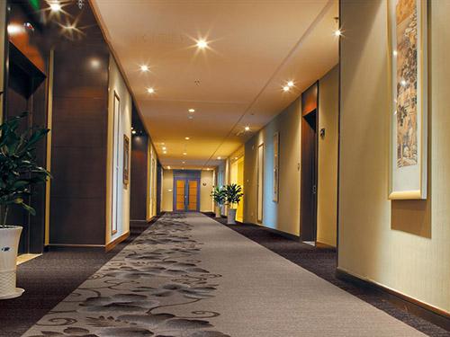 产品描述:东莞市涂色家装饰材料是一家专业销售东莞优质酒店地毯,提供